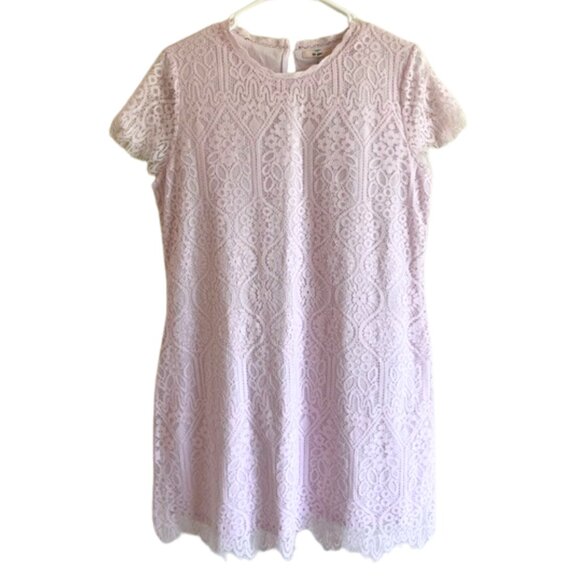 Francesca's Collections Dresses & Skirts - MI AMI - Francesca’s - Boutique Pink Lace Mini Dress Cap Sleeve Women’s Large